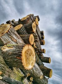 Low angle view of logs against sky