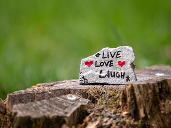 Close-up of text on tree stump