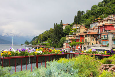 Buildings in city