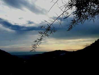 Silhouette tree against sky during sunset