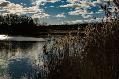 Scenic view of lake against sky