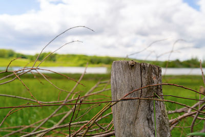 Close-up of wooden fence against sky