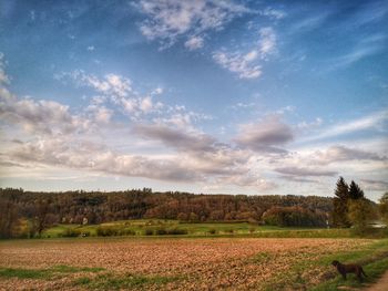 Scenic view of field against sky