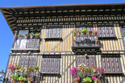 Low angle view of flowers in balcony on building during sunny day