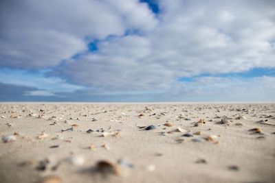 Surface level of beach against sky