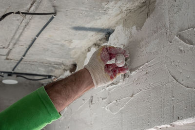 Close-up of hand holding flower against wall