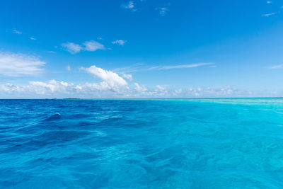 Scenic view of sea against blue sky