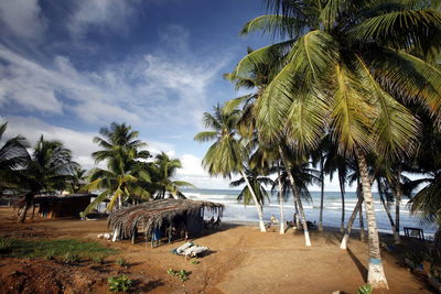 Palm trees on beach against cloudy sky