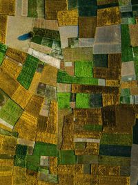 Full frame shot of multi colored agricultural field