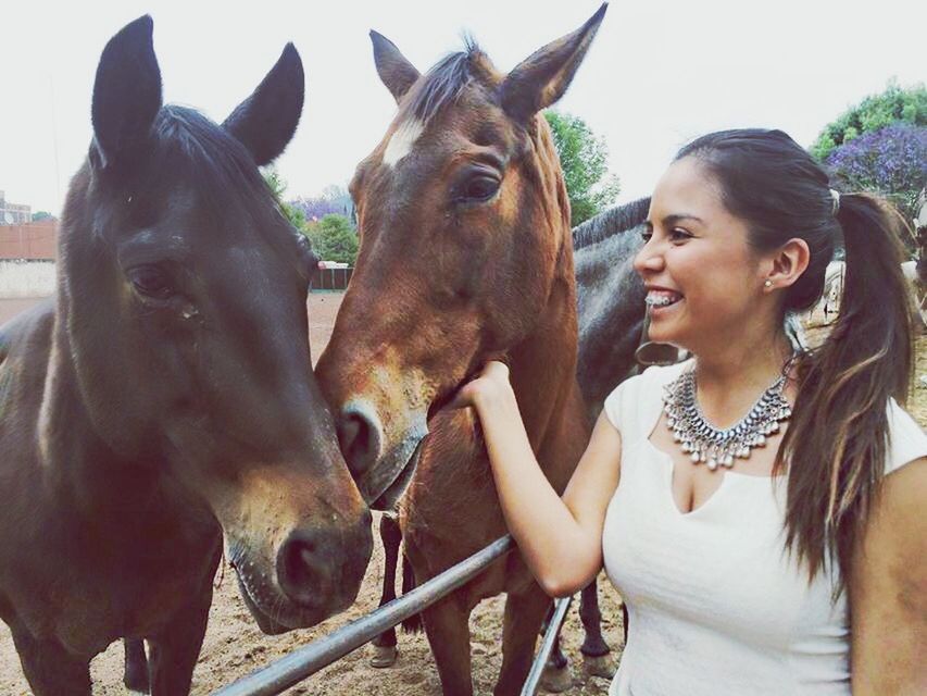 animal themes, togetherness, domestic animals, mammal, portrait, horse, livestock, two animals, looking at camera, young adult, person, young women, lifestyles, bonding, standing, working animal, leisure activity, focus on foreground