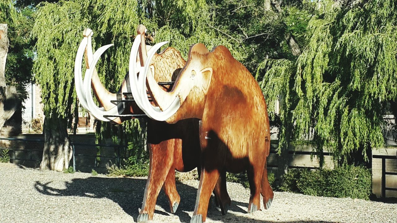 animal themes, tree, mammal, domestic animals, creativity, art, animal representation, horse, art and craft, one animal, outdoors, day, sunlight, no people, standing, livestock, nature, full length, growth, shadow