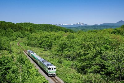 Clear blue sky, green trees and inspection train