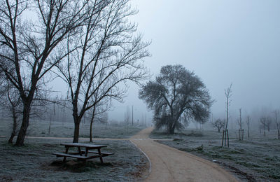 Empty park bench by bare trees against sky