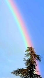 Low angle view of rainbow against sky