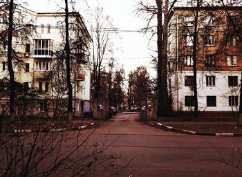 Bare trees in city against sky