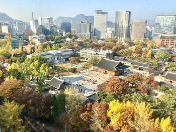 High angle view of trees and buildings in city