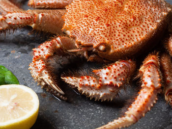 High angle view of crab by lemon on table