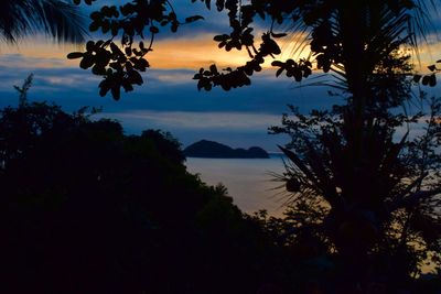Silhouette trees by sea against sky during sunset