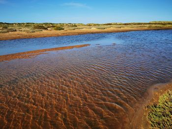 Scenic view of beach against clear sky