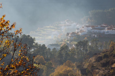 Trees and buildings against sky during autumn