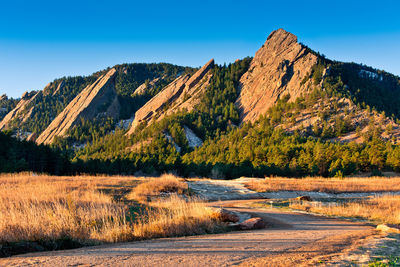 Scenic view of landscape against clear blue sky