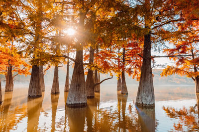 Scenic view of lake against sky during autumn