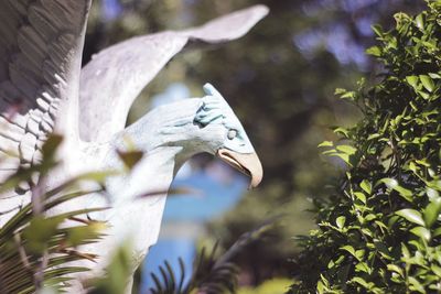 Close-up of bird sculpture