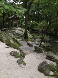 View of narrow house in forest