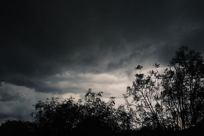 Low angle view of trees against cloudy sky