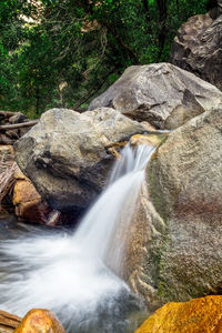 View of waterfall in forest