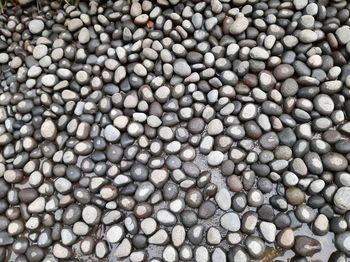 large group of objects