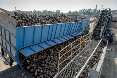 View of loading at sugar factory