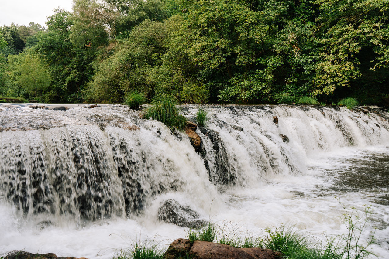 waterfall, plant, tree, water, beauty in nature, body of water, scenics - nature, motion, nature, flowing water, river, water feature, watercourse, rapid, forest, rock, land, stream, growth, environment, no people, flowing, long exposure, non-urban scene, day, outdoors, green, water resources, blurred motion, splashing, sports, water sports, idyllic, power in nature