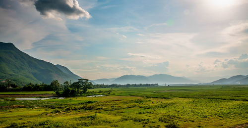 Scenic view of field against sky