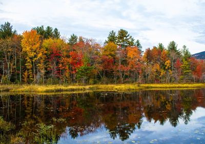 Reflection of trees in lake against sky during autumn