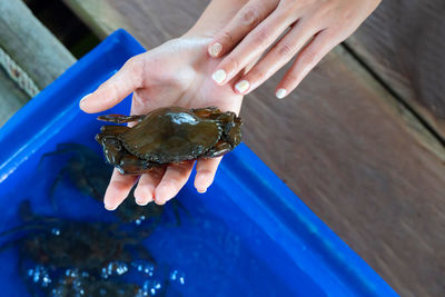 Cropped image of man holding crab