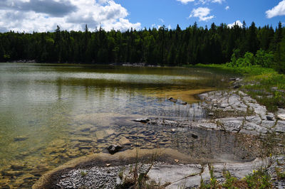 Scenic view of lake in forest against sky