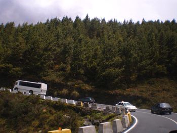 Vehicles on country road amidst trees against sky