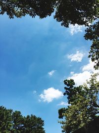 Low angle view of trees against cloudy sky