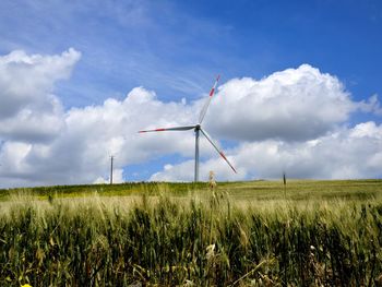 Windmills on field against sky