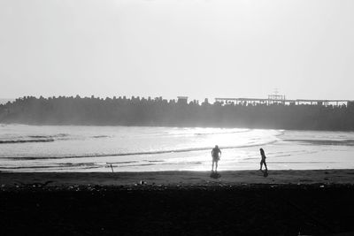 People on beach against clear sky