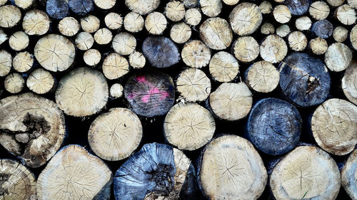 Full frame shot of logs