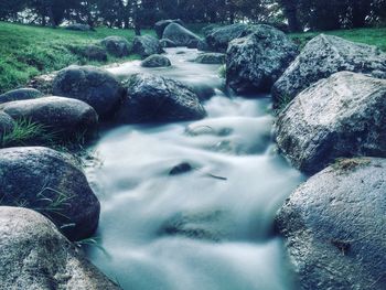 Scenic view of waterfall in forest