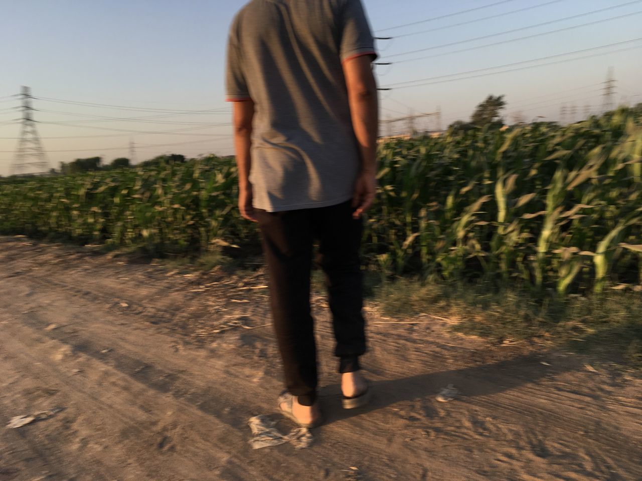one person, standing, nature, sky, adult, full length, plant, day, spring, casual clothing, rear view, walking, footwear, land, lifestyles, young adult, growth, clothing, outdoors, leisure activity, soil, women, footpath, rural scene, agriculture, landscape, shoe, road, field, sunlight