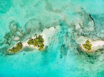 Aerial view of sea