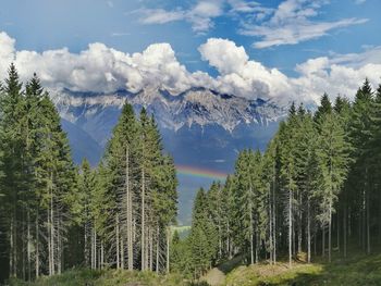 Panoramic view of trees and mountains against sky