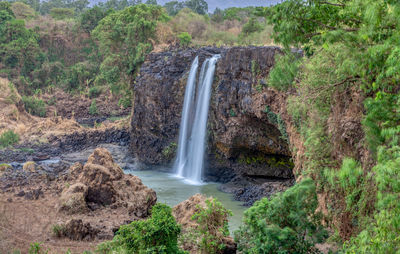 Scenic view of waterfall in forest