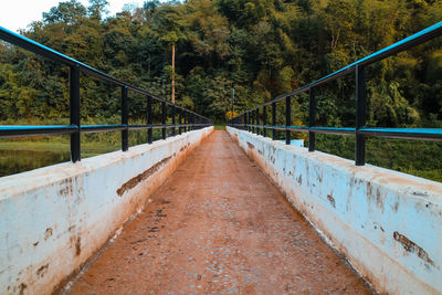 Footbridge amidst trees in forest