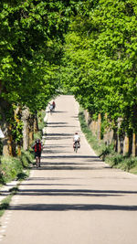 People on road amidst trees