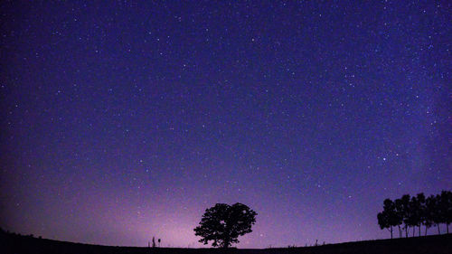 Low angle view of silhouette trees against sky at night